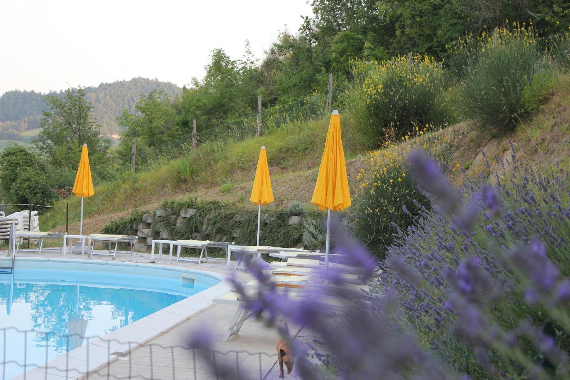Agriturismo La Valle Del Vento Urbino Dış mekan fotoğraf