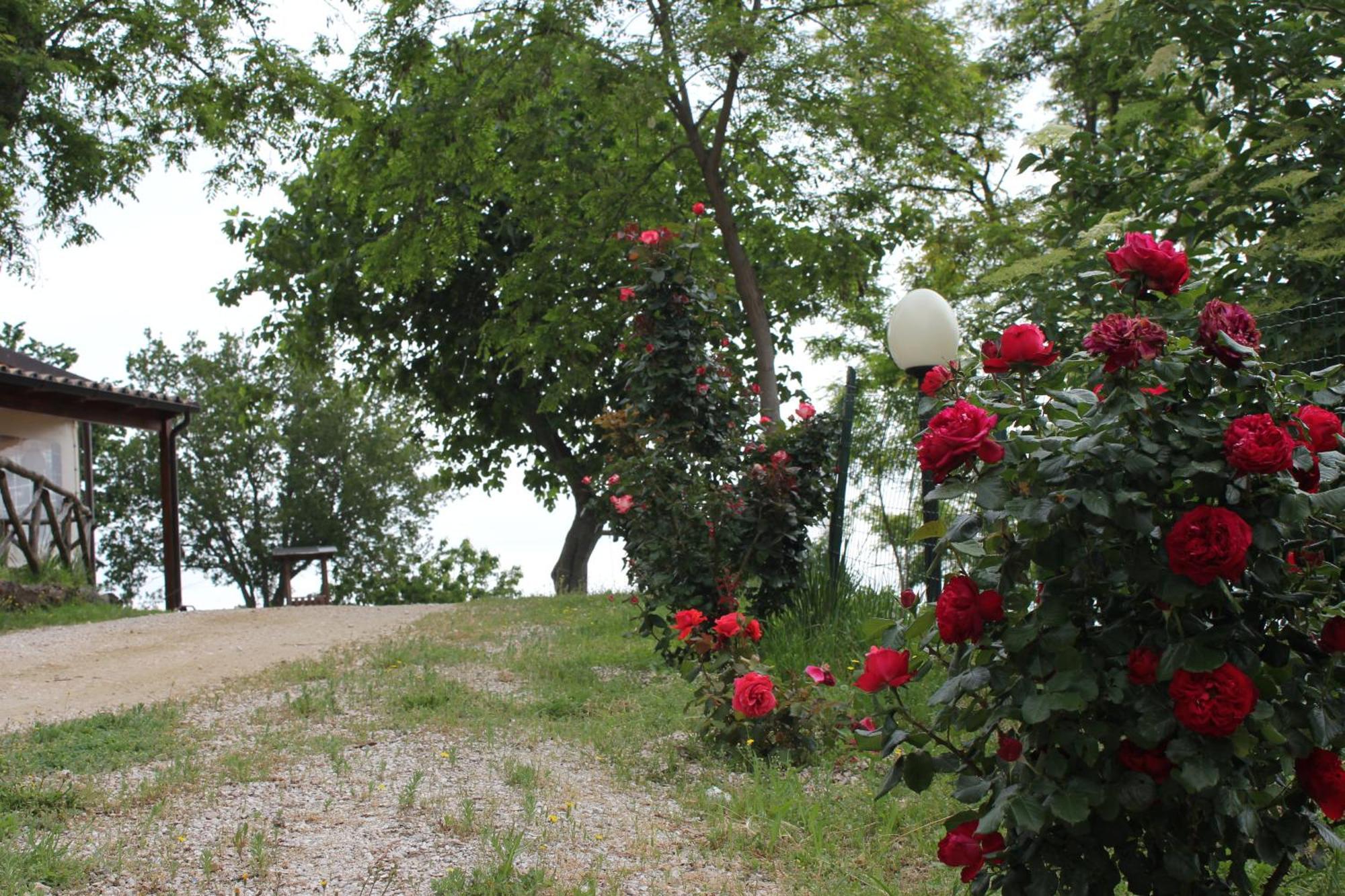 Agriturismo La Valle Del Vento Urbino Dış mekan fotoğraf